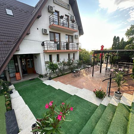 Shamrock Inn Iasi Extérieur photo