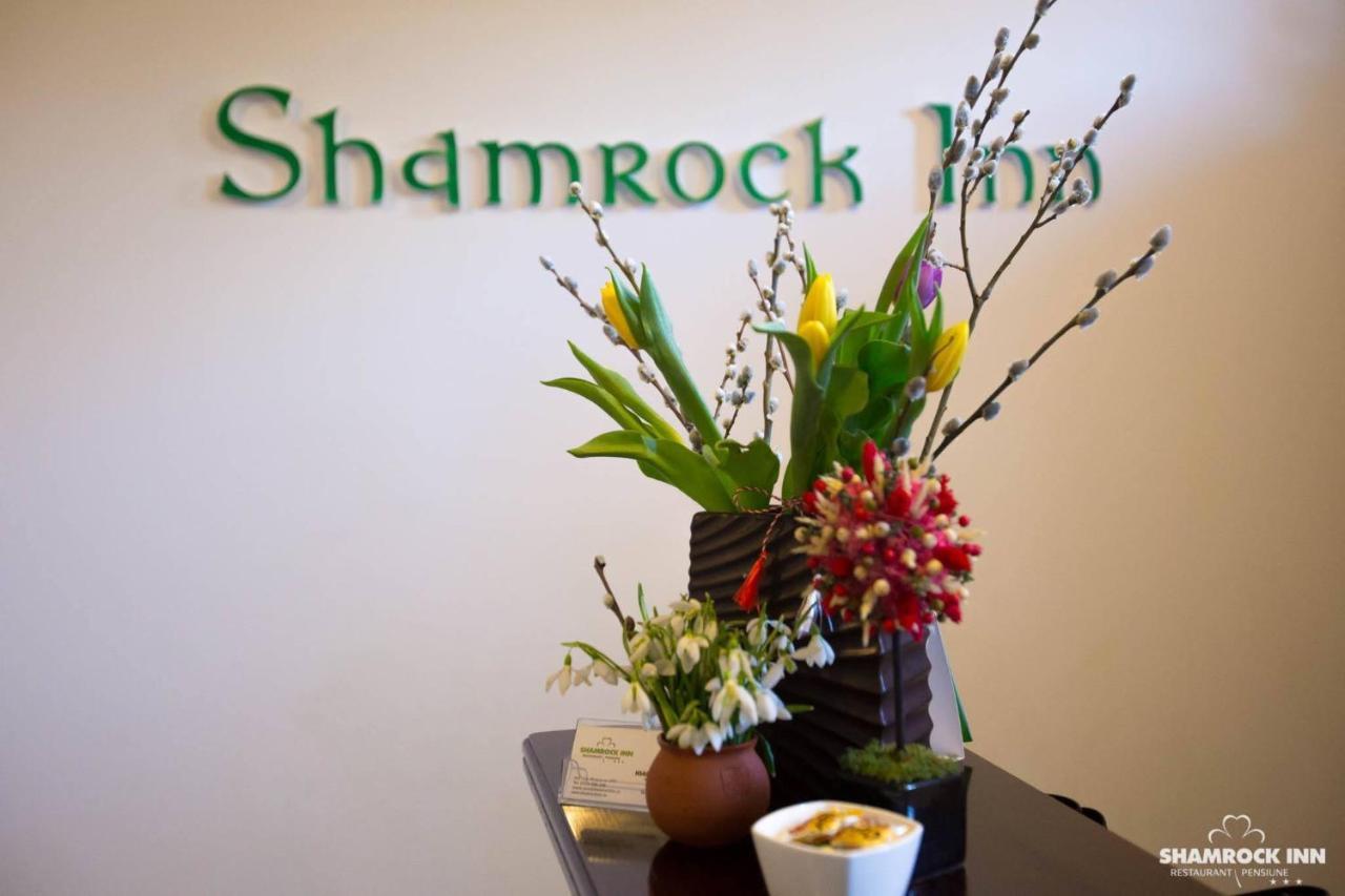 Shamrock Inn Iasi Extérieur photo